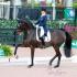 Global Dressage Festival